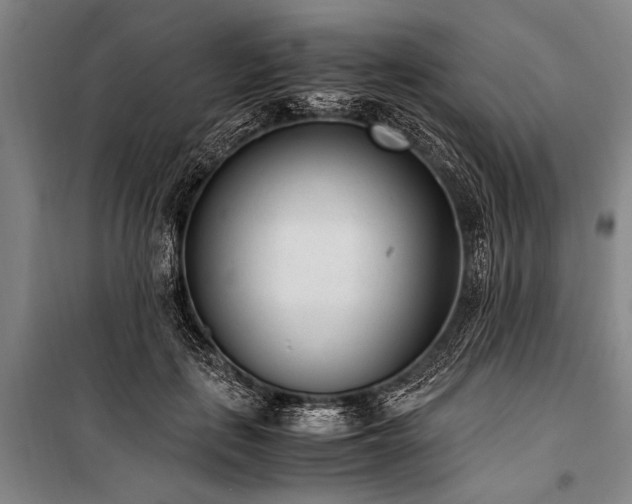X0000101190651200806271317