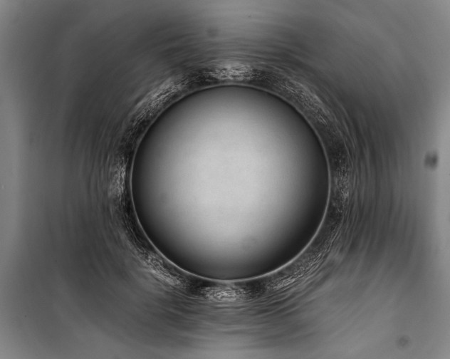 X0000101190652200806271317