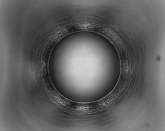 X0000101190653200806271317