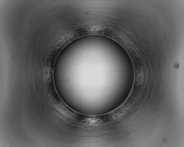 X0000101190654200806271317
