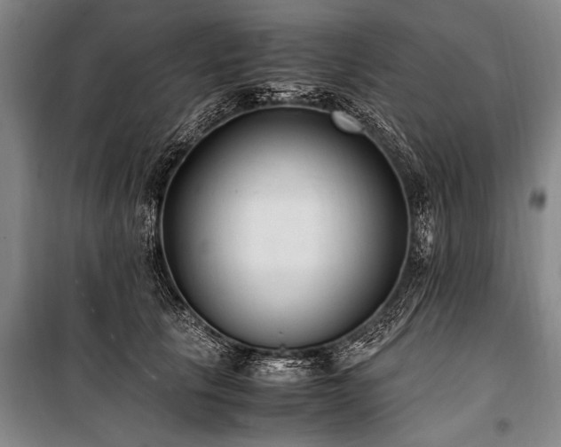 X0000101190657200806271317