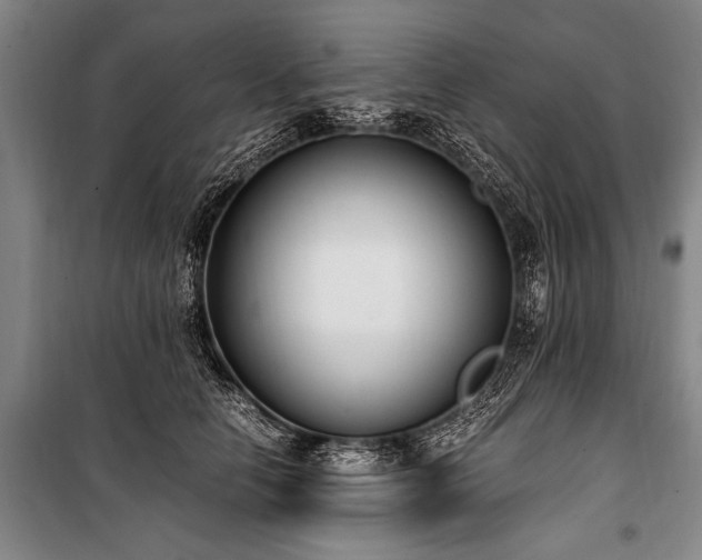 X0000101190658200806271317