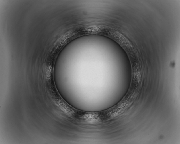 X0000101190660200806271317