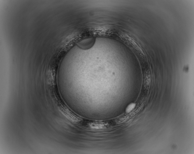 X0000101190661200806271317