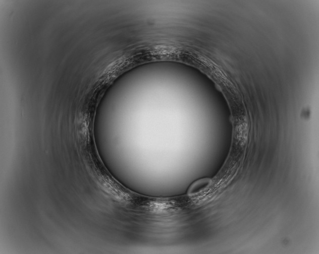 X0000101190662200806271317