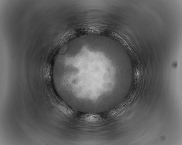X0000101190663200806271317