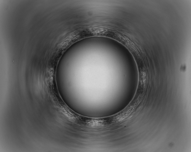 X0000101190664200806271317