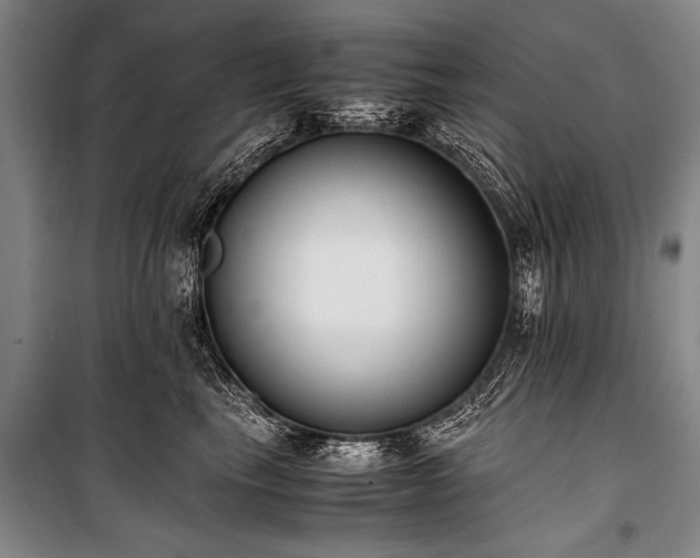 X0000101190665200806271317