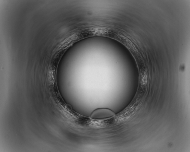 X0000101190666200806271317