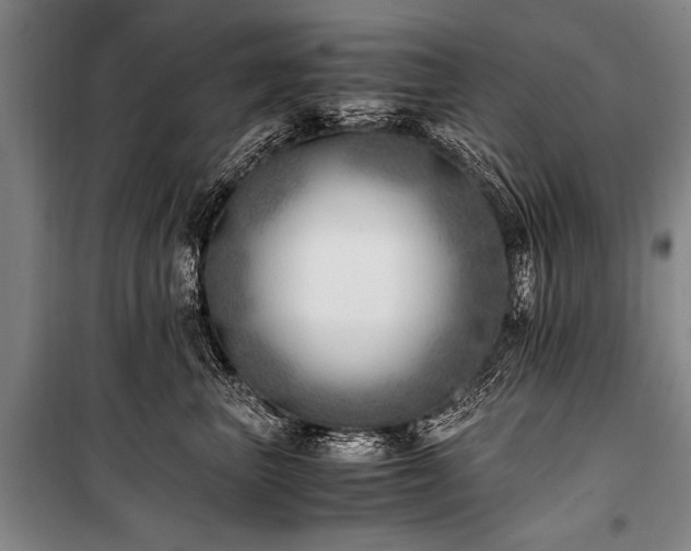 X0000101190667200806271317