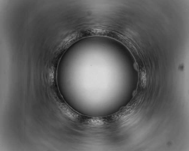 X0000101190668200806271317