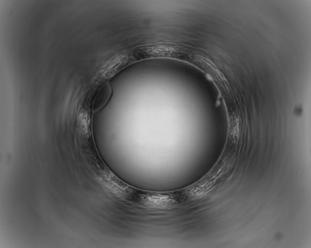 X0000101190669200806271317