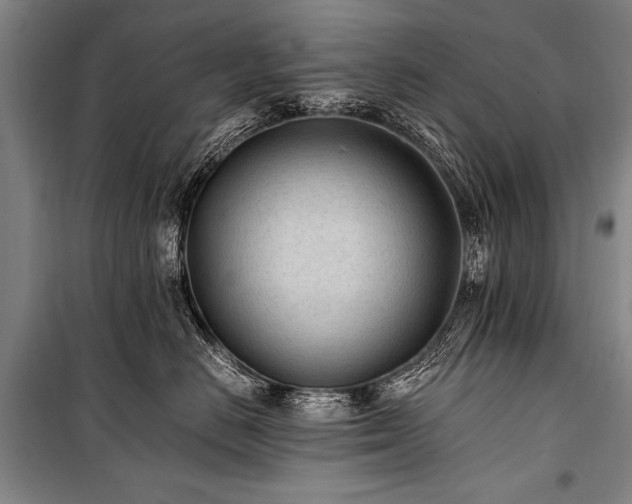 X0000101190670200806271317