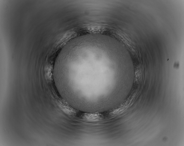 X0000101190671200806271317