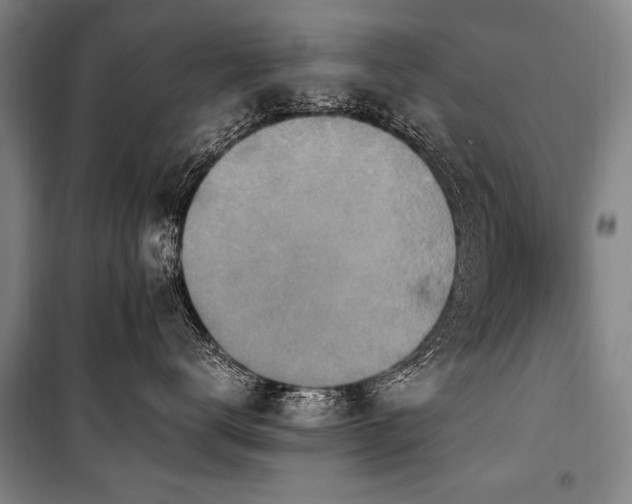 X0000101190672200806271317