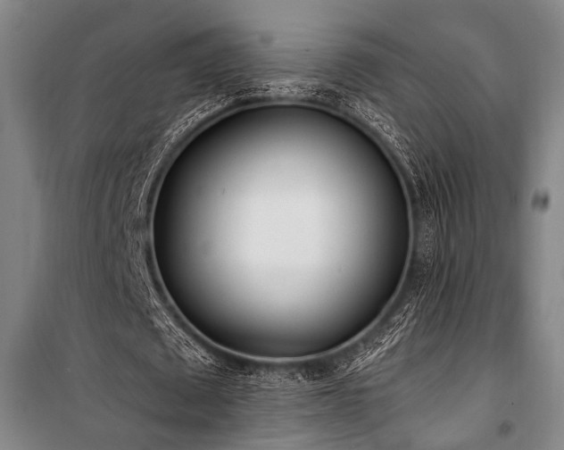 X0000101190673200806271316