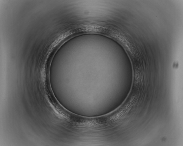 X0000101190674200806271316