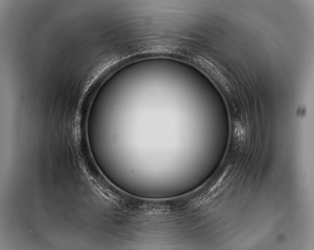X0000101190676200806271316