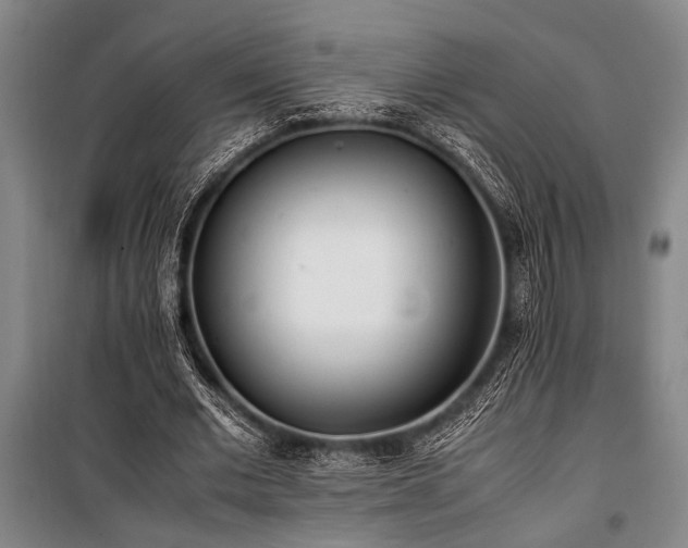 X0000101190677200806271316