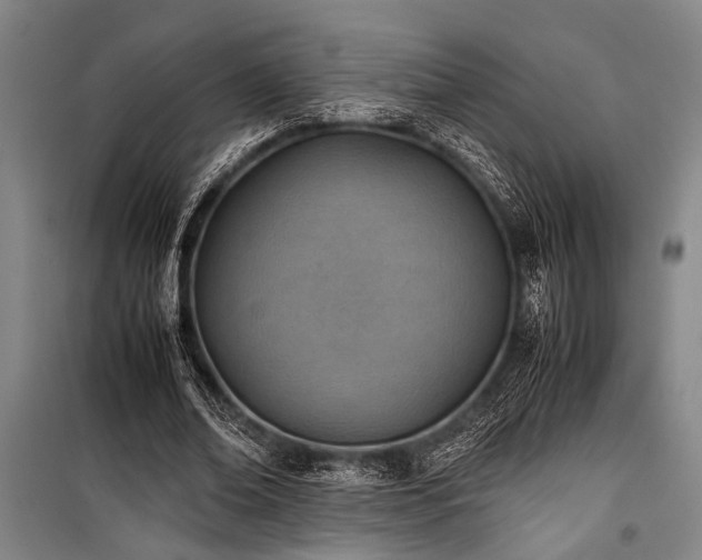 X0000101190678200806271316