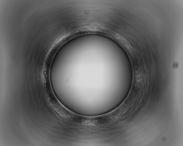 X0000101190680200806271316