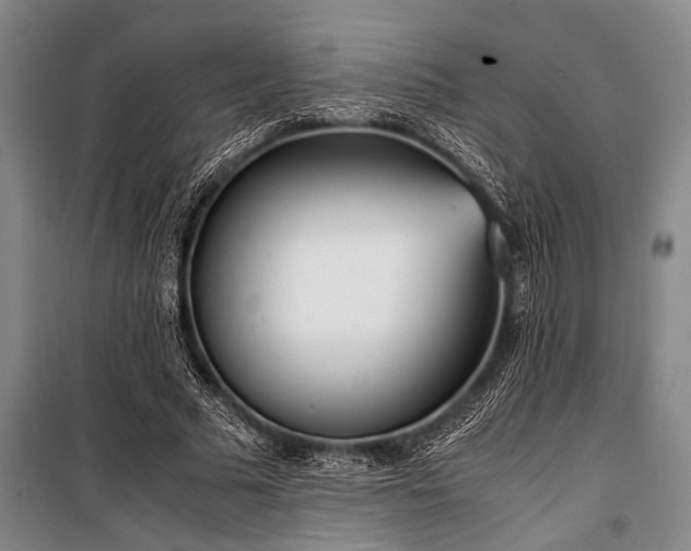 X0000101190681200806271316