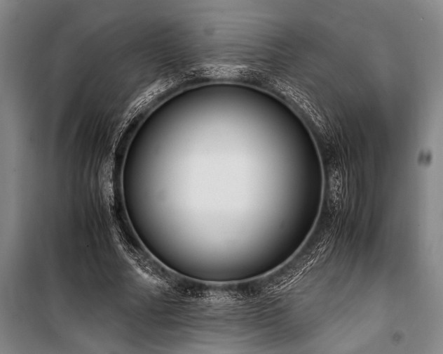X0000101190682200806271316
