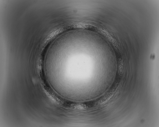 X0000101190683200806271316