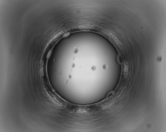 X0000101190684200806271316