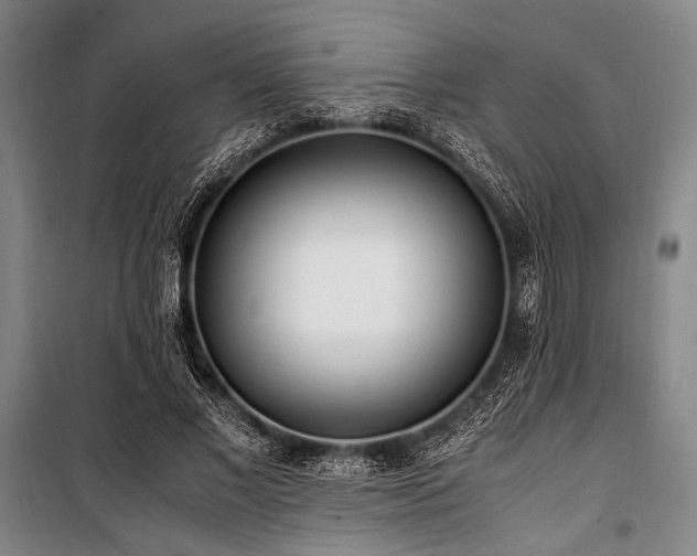X0000101190685200806271316