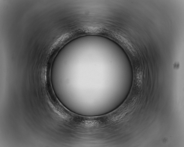 X0000101190686200806271316