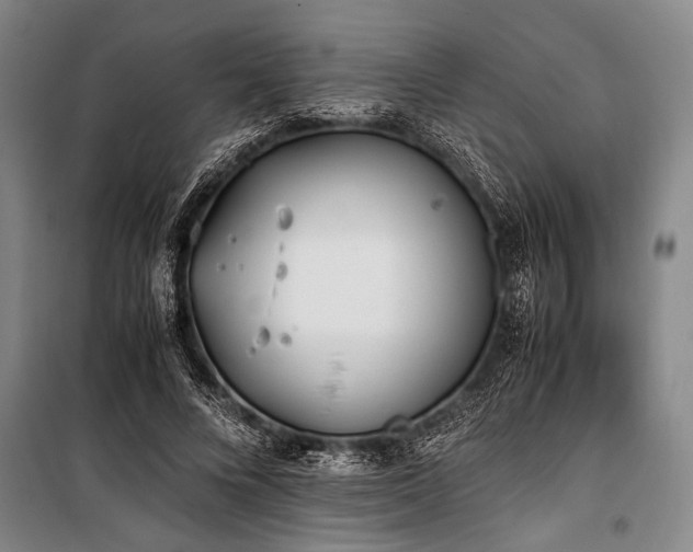 X0000101190688200806271316