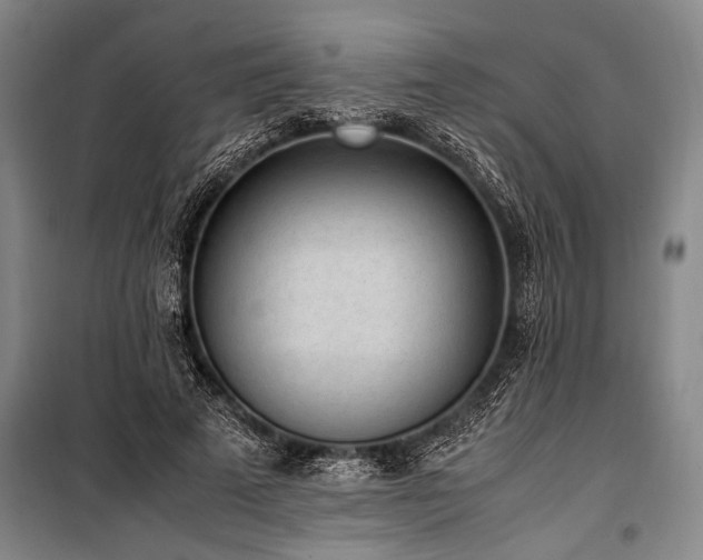 X0000101190689200806271316