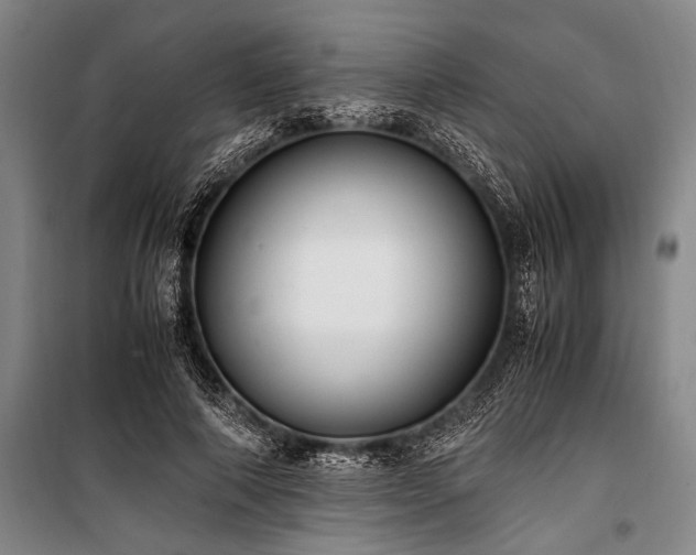 X0000101190690200806271316