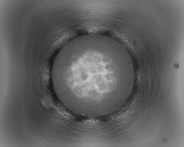 X0000101190691200806271316