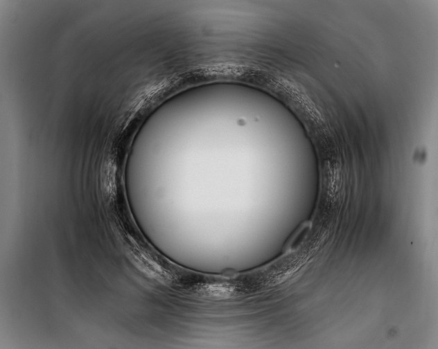 X0000101190692200806271316