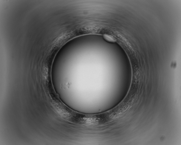 X0000101190693200806271316