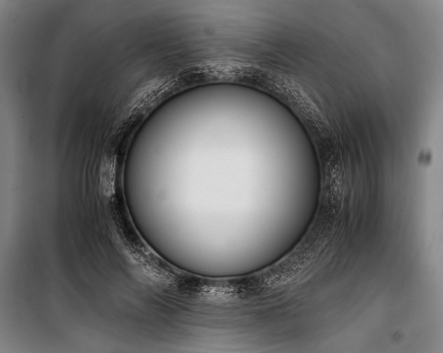X0000101190694200806271316