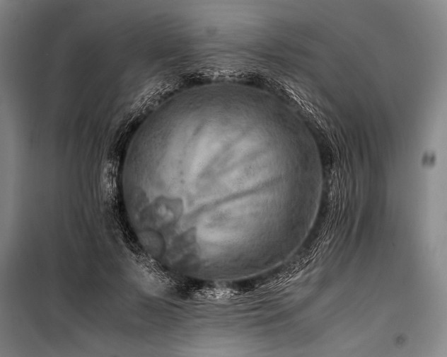 X0000101190695200806271316