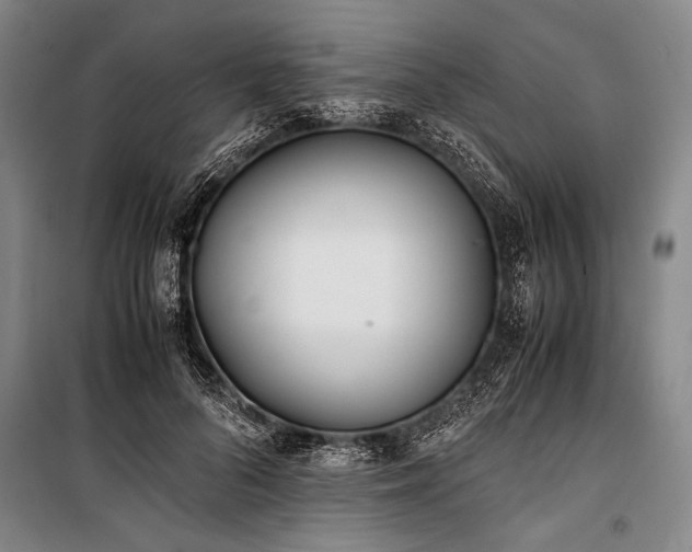 X0000101190696200806271316