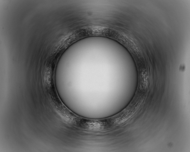 X0000101190698200806271316