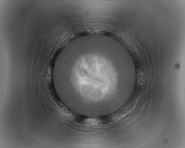 X0000101190699200806271316