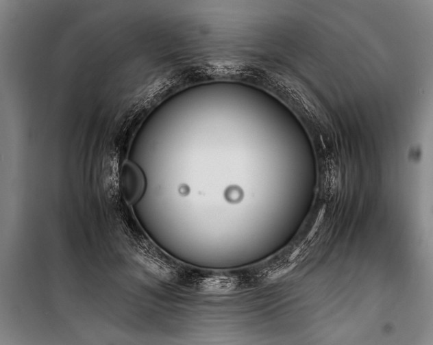 X0000101190700200806271316