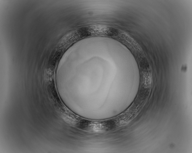 X0000101190701200806271316
