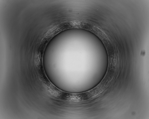 X0000101190702200806271316
