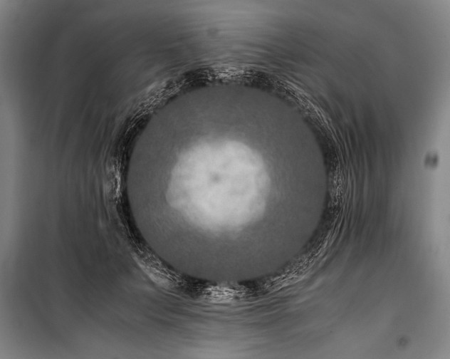 X0000101190703200806271316