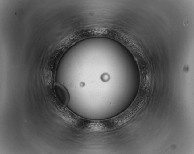 X0000101190704200806271316