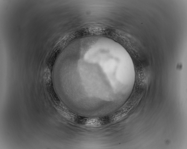 X0000101190705200806271316