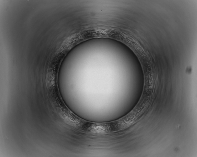X0000101190706200806271316