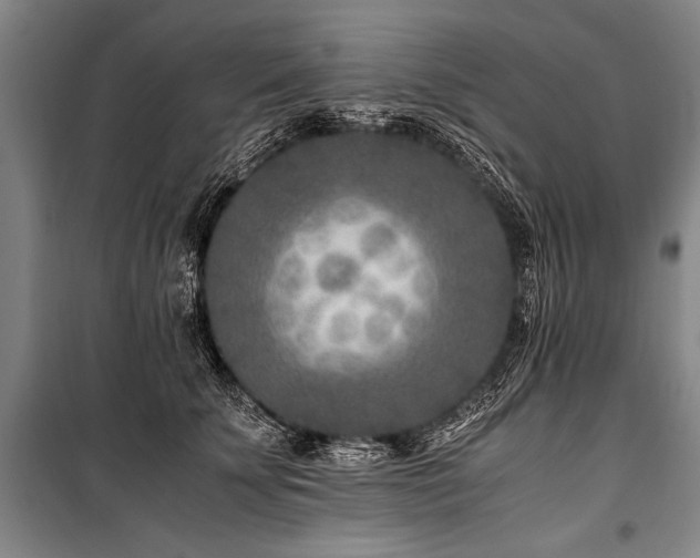 X0000101190707200806271316